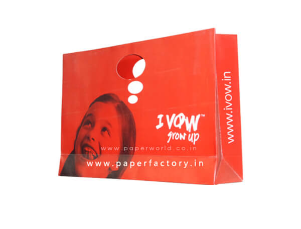 Self Handle Paper bags